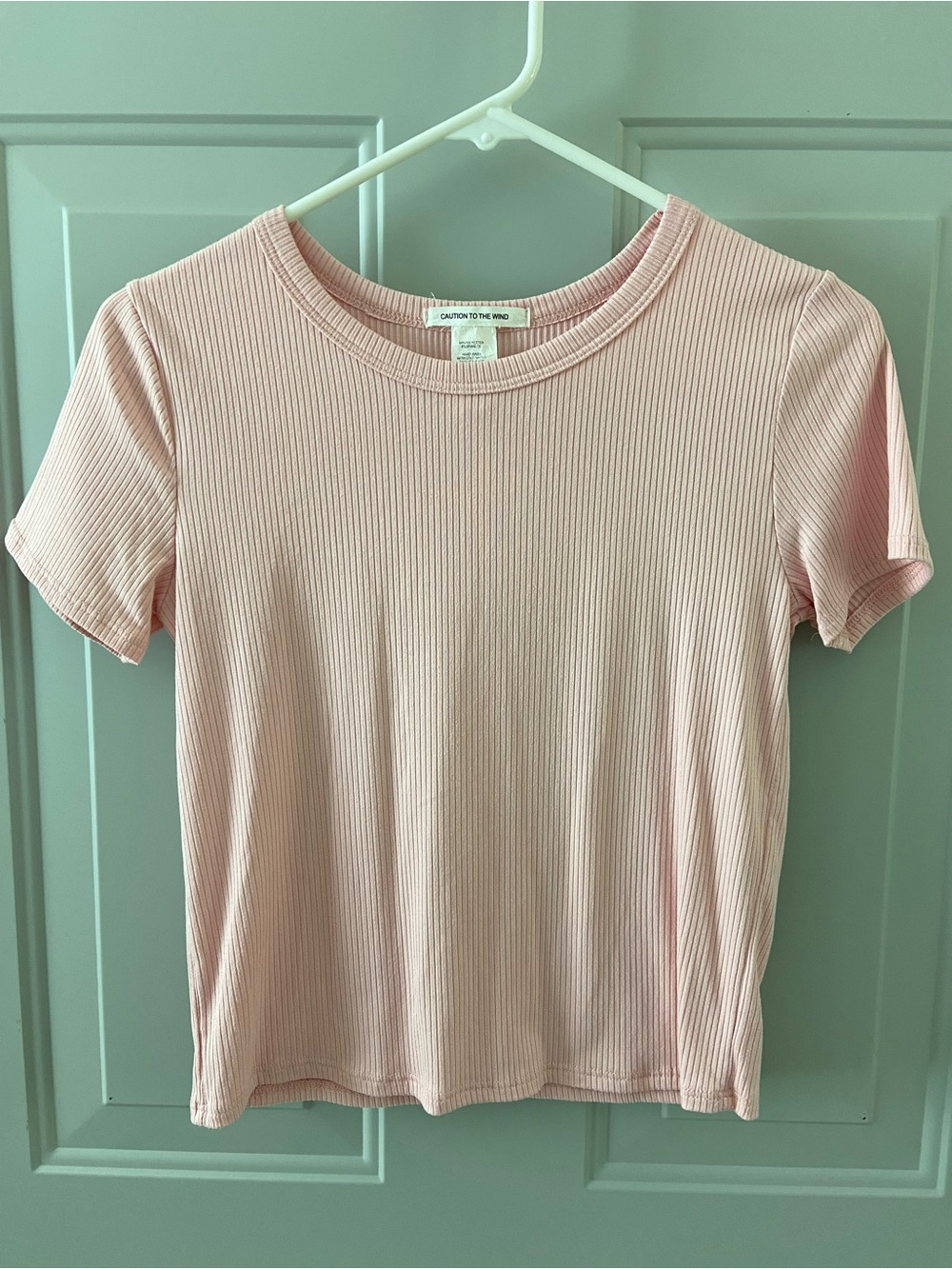 Caution To The Wind Ribbed Short Sleeve Tee in Light Pink